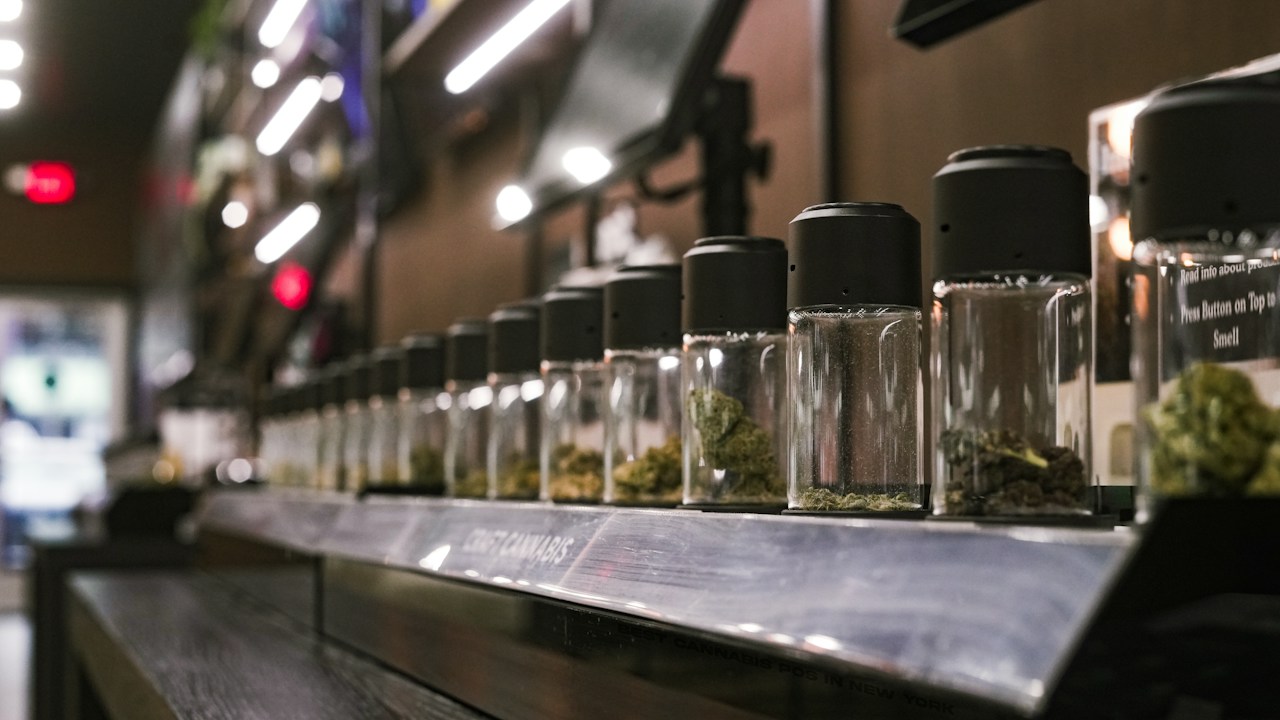 Cannabis cultivation
